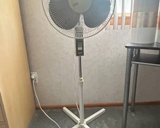 Pedestal Oscillating Fan