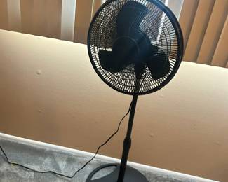 Pedestal Oscillating Fan