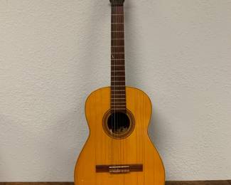 Vintage Guitar