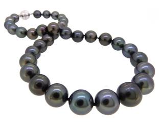 Tahitian Pearl