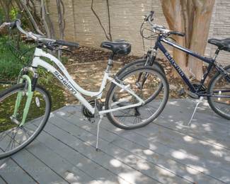 Schwinn bikes