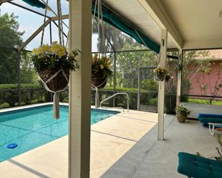 More Hanging Plants