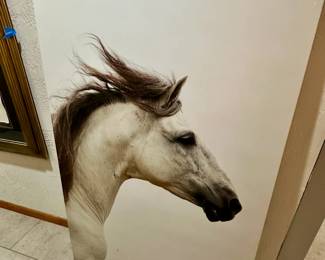 Carol J Walker Signed Andulusian Horse Print Wall Hanging