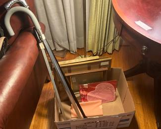 Living room - canes & grabber