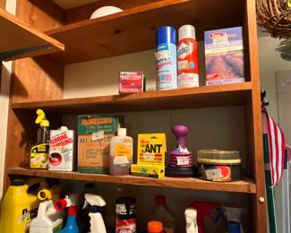 Outside laundry room with storage - cleaning supplies and more