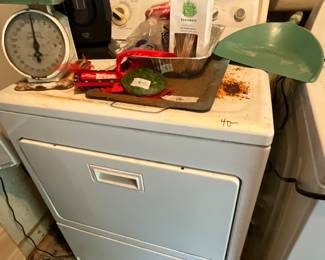 Outside laundry room with storage - gas dryer - works but has damage on top, scale, miscellaneous