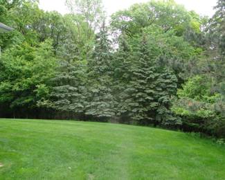 Ahhh, relaxation in the heart of Farmington Hills