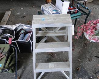 Small step up ladder
