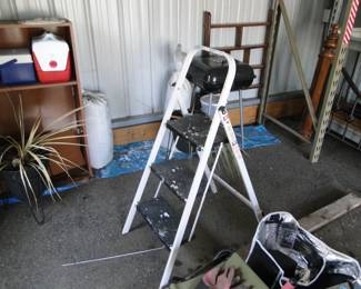 Step up ladder
