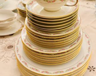 Haviland Limoges Porcelain China
