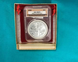 JUST SHOWING SOME OF THE MORGANS... MANY MORE SHALL SELL SATURDAY TO THE HIGHEST BIDDER!!.... SO JUST REMEMBER, WE HAVE MORE THAT WE WILL BE AUCTIONING OFF AT NO RESERVE  ALONG WITH THIS ONE HERE!