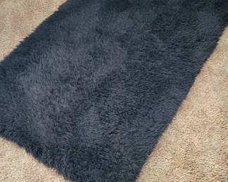Pottery Barn Fuzzy Rug