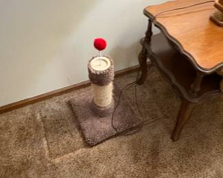 cat toy