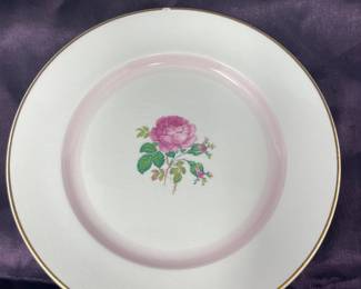 Vintage Dinner Plates