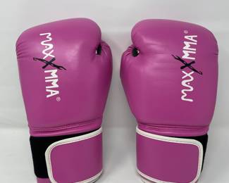Max MMA Boxing Gloves