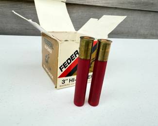 78 25Roundsof410Shotgun