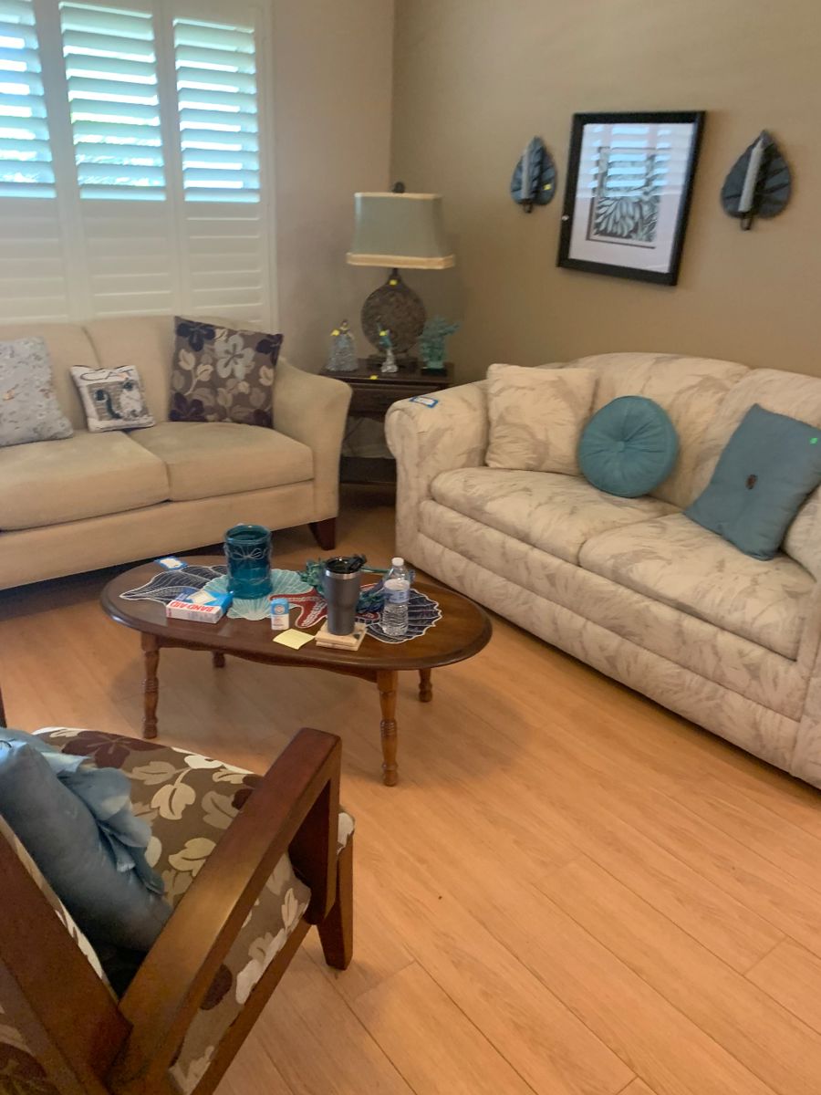 Pull out couch, and a full living room of furniture and decor!