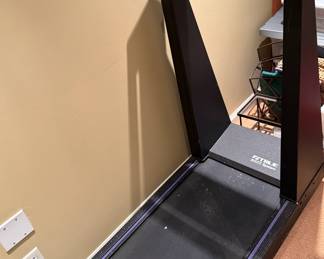 TRUE S.O.F.T. System Treadmill