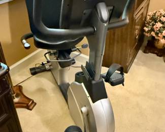 Tru Fitness ES 700 Recumbent Bike