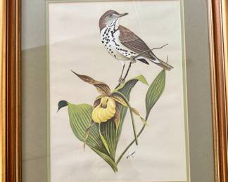 Framed and Matted Wood Thrush by Art Lamay