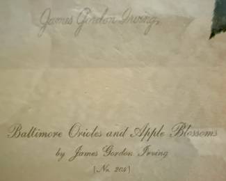 Framed and Matted "Baltimore Orioles and Apple Blossoms" by James Gordon Irving