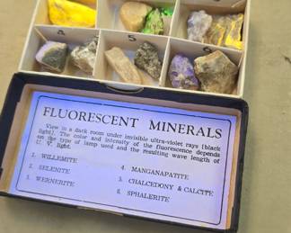 Fluorescent Minerals awesome little collection