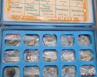 Mineral collection in labeled case
