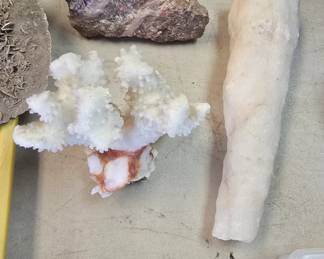 Coral, stalactite, and amethyst