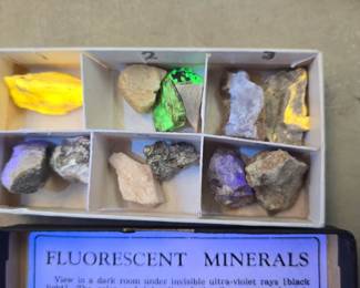 Fluorescent Minerals awesome little collection