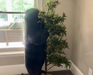 Bear and christmas tree