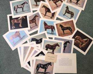 183 TheColorofHorsesbyDarolDickson