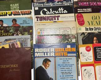 24 Assorted Vinyl Records