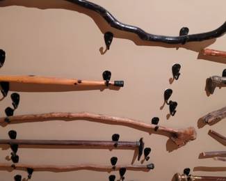 cane collection