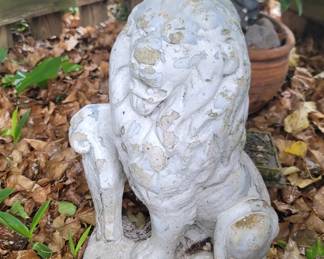 outdoor lion