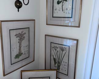 Botanical prints