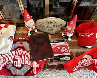 OHIO STATE ROCKS!