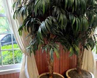 Great faux tree in a lovely ceramic pot