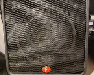 Speaker for Fender system