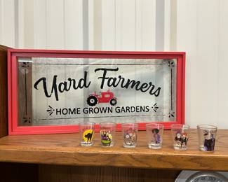 Wood Framed Glass Sign - Disney Bioworld Disney Villains Set of Shot Glasses