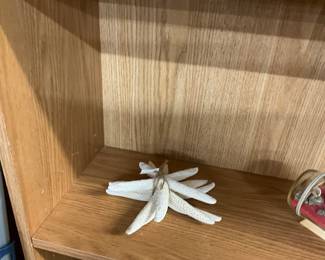 Starfish