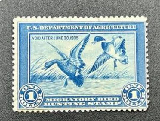 1934 $1 U.S. Federal Migratory Bird Hunting Stamp