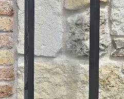 Petsafe Pet Door Black
