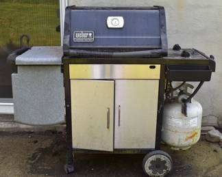 Two Burner Weber Barbecue Grill