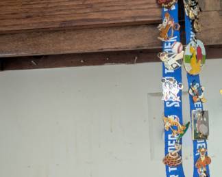 Collection of Walt Disney Collector Pins