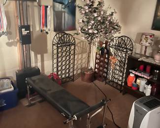 Exercise eqp., wine bottle racks, faux tree, bookcase and dehumidifier.