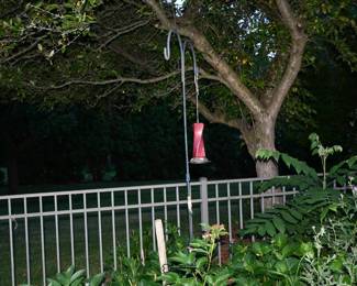 925Back yard