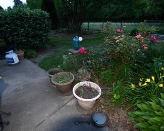 928Back yard