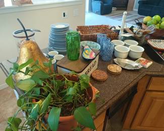 Plants and misc