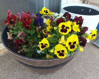 Flower pots with flowers