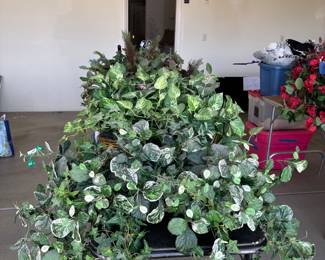 Many lovely floral arrangements